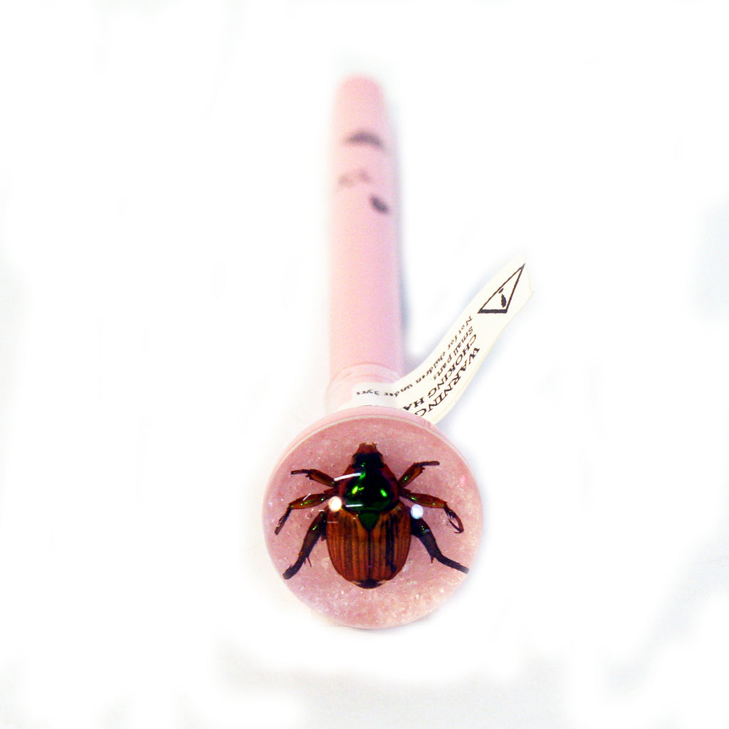 P516<br/> Pink Pen, Japanese Beetle. Pink Background