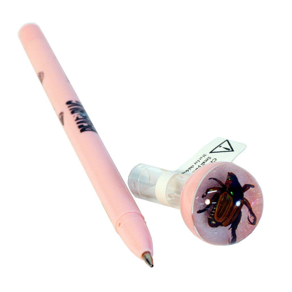 P516<br/> Pink Pen, Japanese Beetle. Pink Background