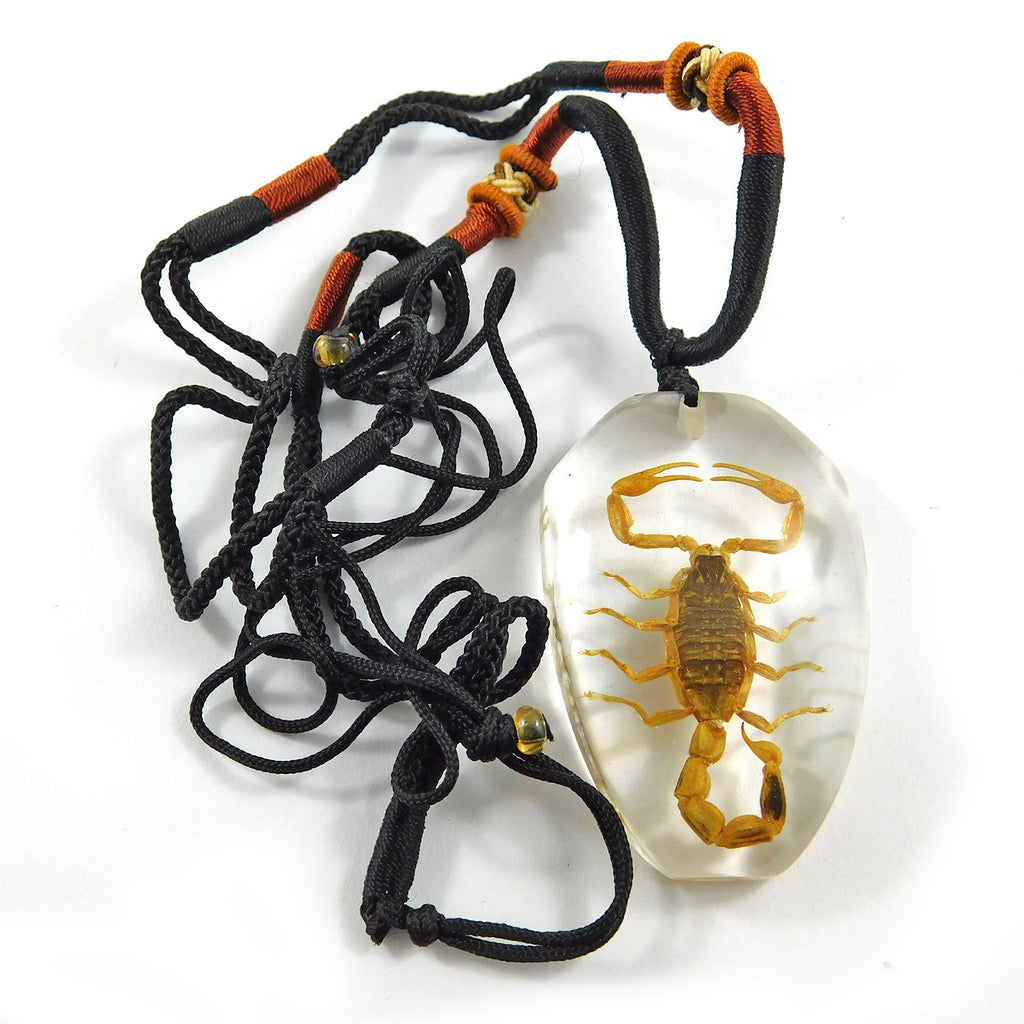 Golden Scorpion Necklace (PSB101)