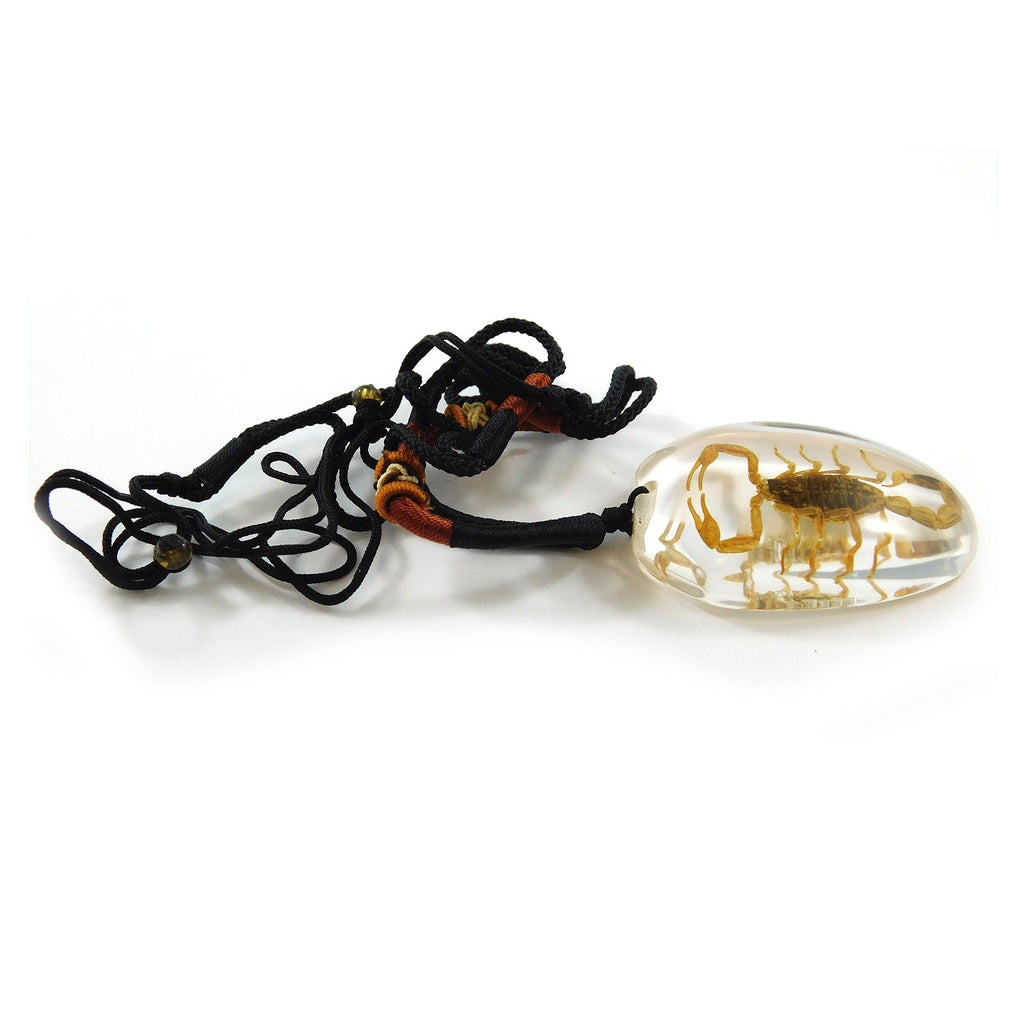 Golden Scorpion Necklace (PSB101)