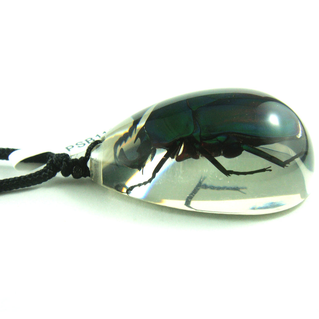 PSB1103<br />Green Chafer<br />Beetle