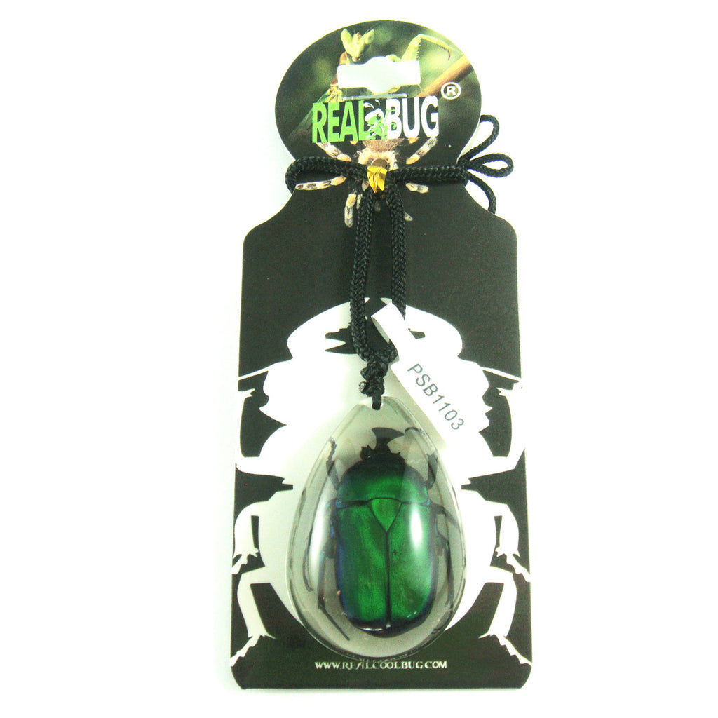 PSB1103<br />Green Chafer<br />Beetle