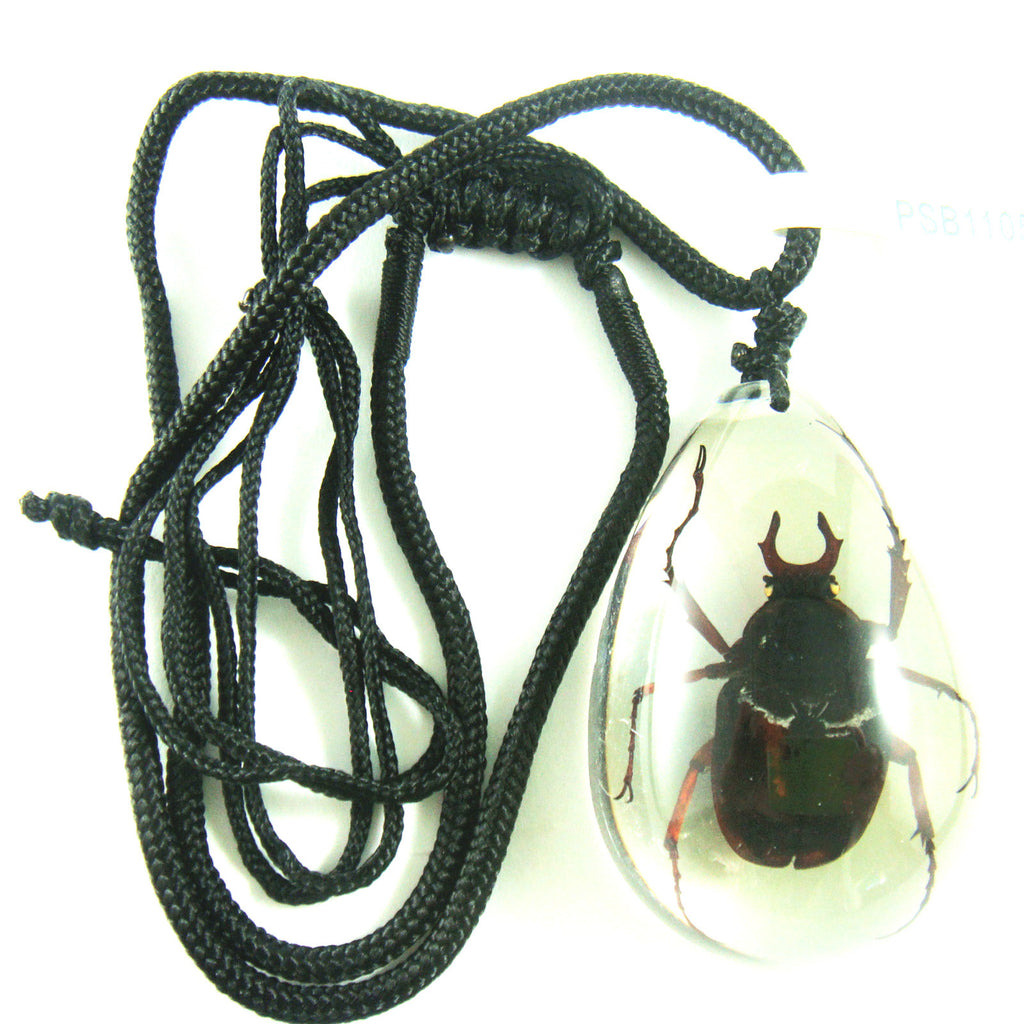 PSB1105<br />Antler Horned<br />Beetle