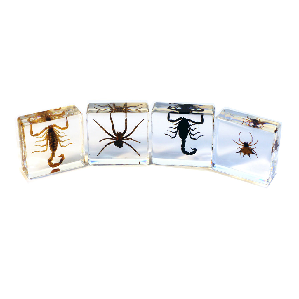 PWC451<br/> 4 pc Scorpion & Spider Set