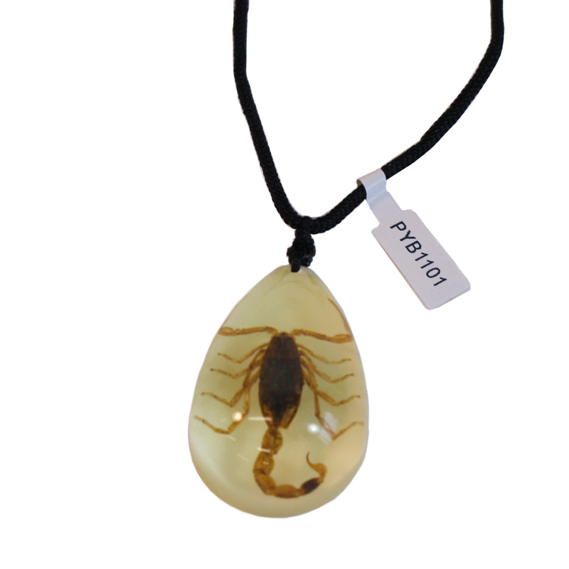 Buy Real Scorpion Necklace in Replica Amber at Ubuy Nigeria