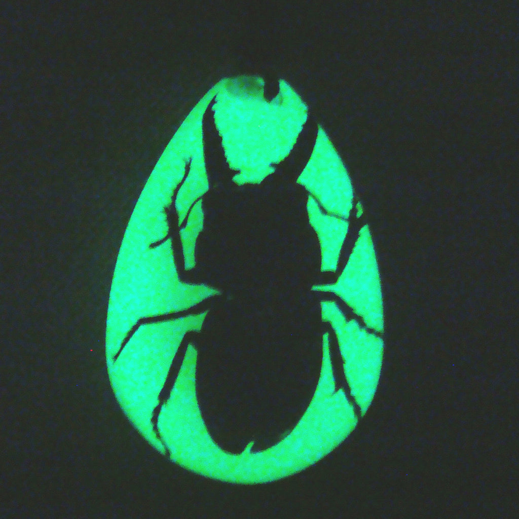 PYB1104<br />Black Stag Beetle<br />