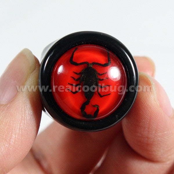 R0011<br/>Scorpion Ring