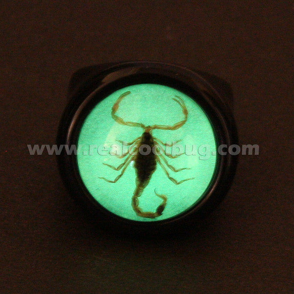 R0013<br/>Scorpion Ring