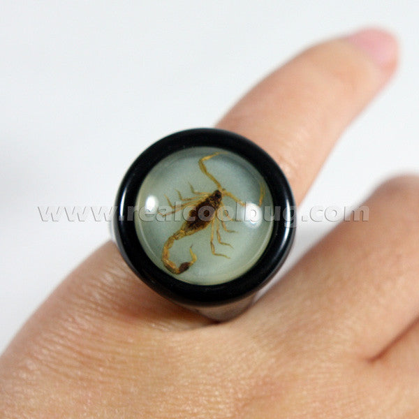 R0013<br/>Scorpion Ring