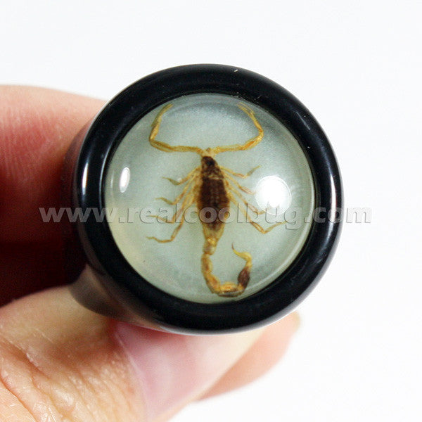 R0013<br/>Scorpion Ring