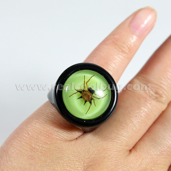 R0014<br/>Spiny Spider Ring