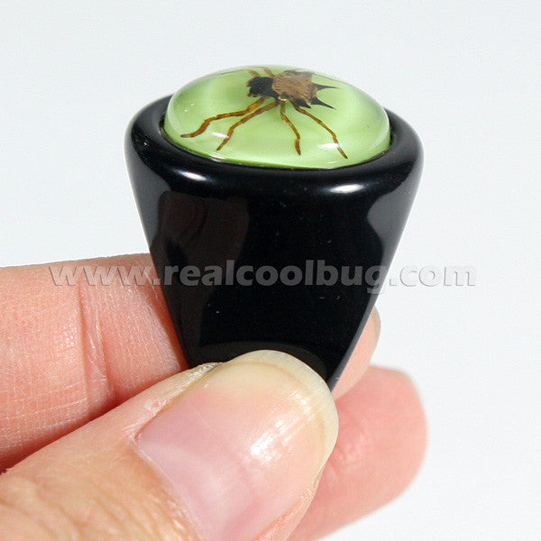 R0014<br/>Spiny Spider Ring