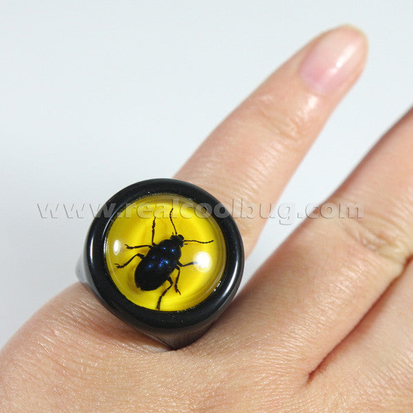 R0016<br/>Blue Beetle Ring