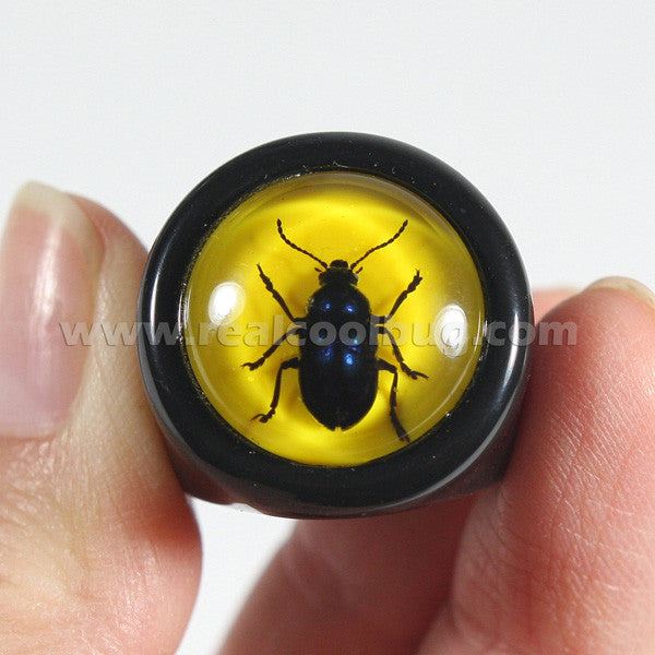 R0016<br/>Blue Beetle Ring