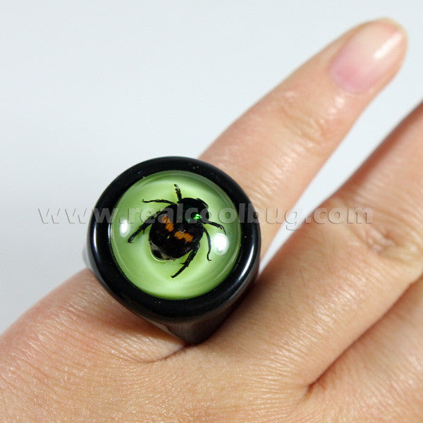 R0017<br/>Lucky Beetle Ring