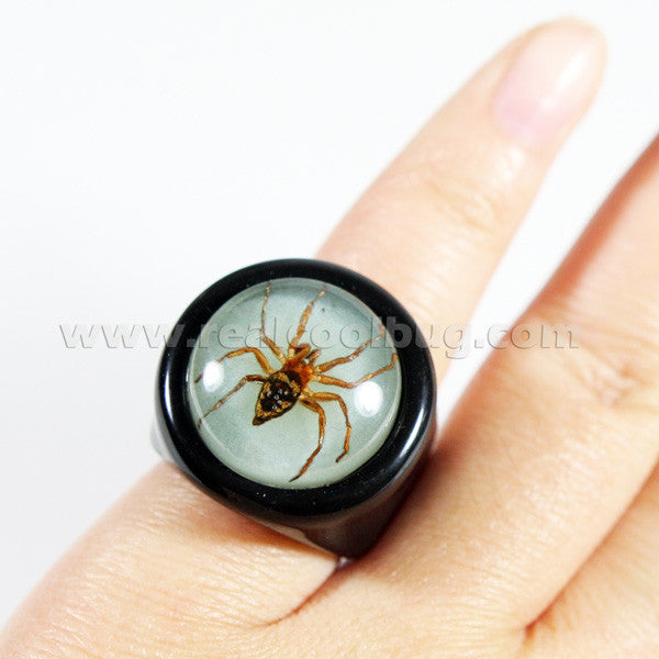 R0018<br/>Spider Ring