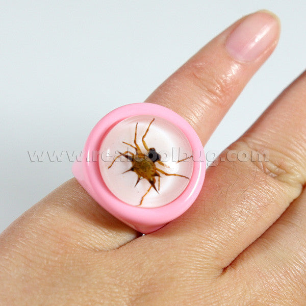 R0025<br/>Spiny Spider Ring