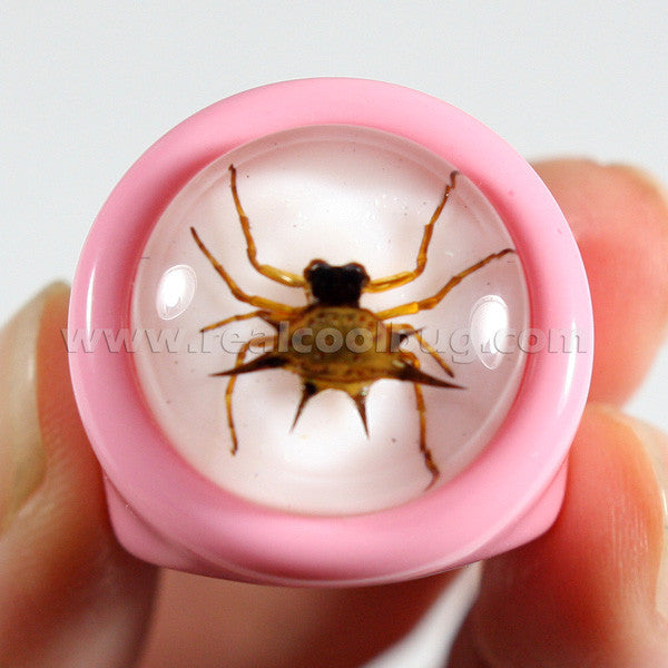 R0025<br/>Spiny Spider Ring