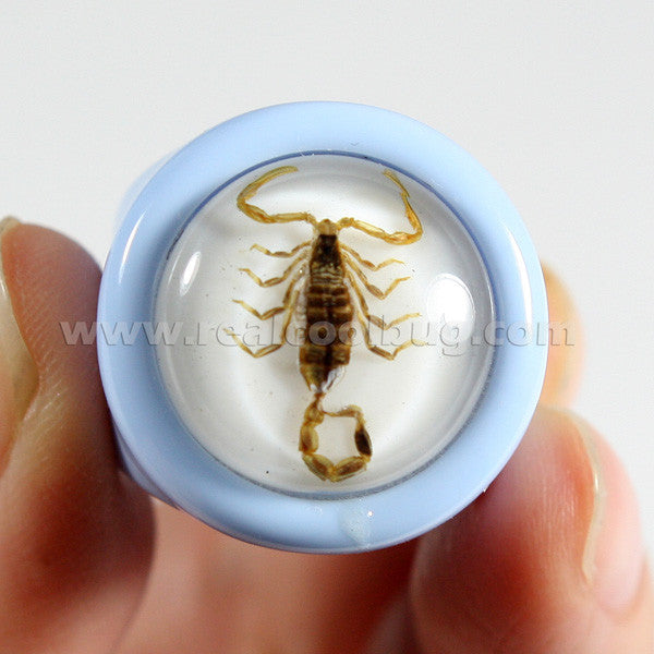 R0032<br/>Gold Scorpion Ring