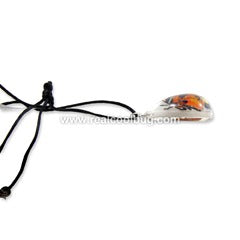 SD1106<br />Shield Bug<br />