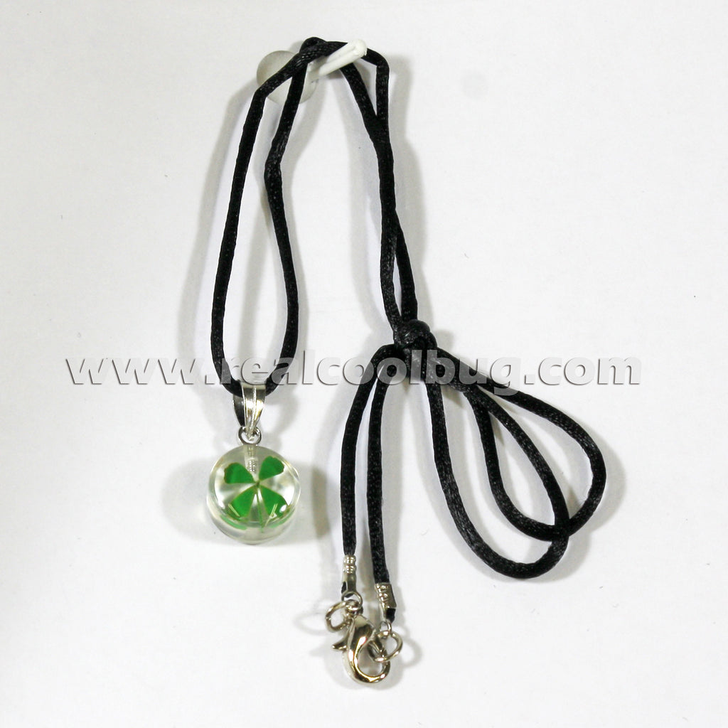 SHN104<br />Shamrock