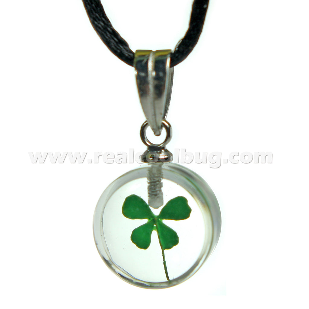 SHN104<br />Shamrock