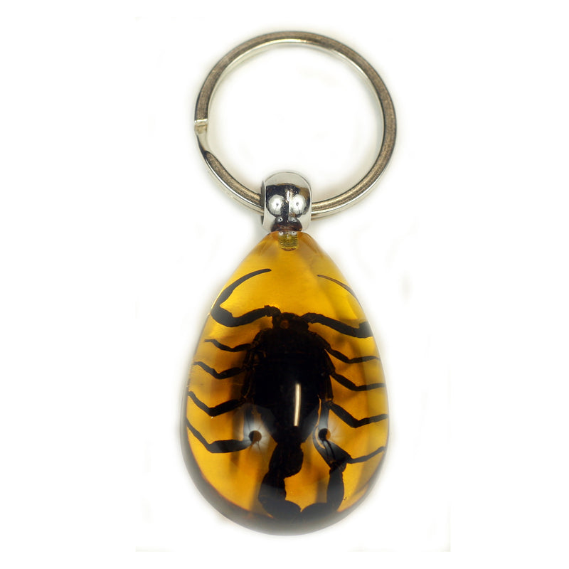 SK091<br />Scorpion Key Chain Amber