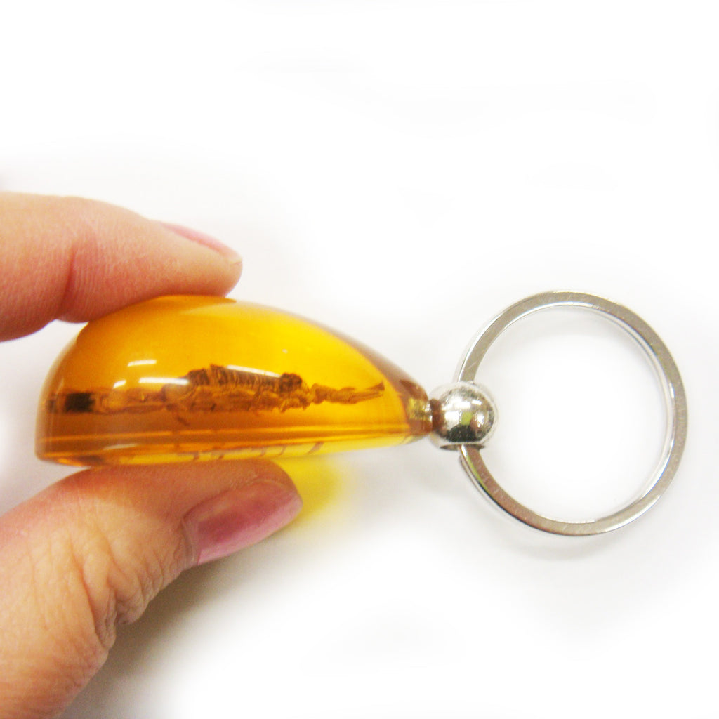 Golden Scorpion Key Chain Amber Tear drop (SK091OLD)