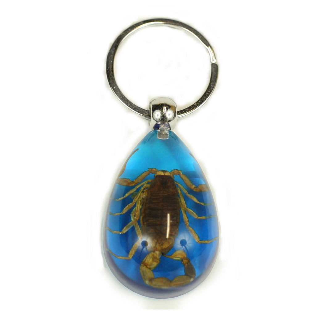 SK092<br /> Gold Scorpion Blue