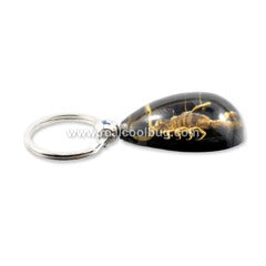 SK093<br />Gold Scorpion Black