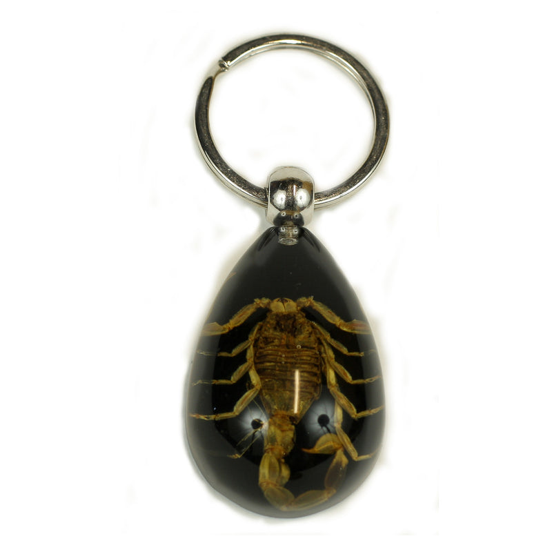 SK093<br />Gold Scorpion Black