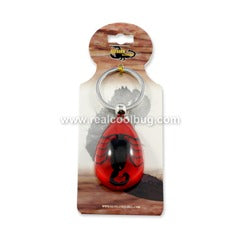 SK094<br />Black Scorpion Red