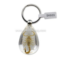 SK603<br />Golden Scorpion<br />