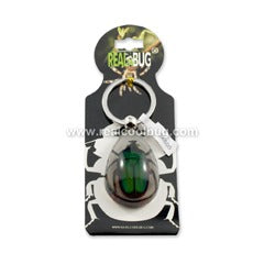 SK606<br />Green Chafer<br />Beetle