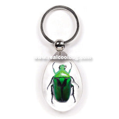 SK606<br />Green Chafer<br />Beetle