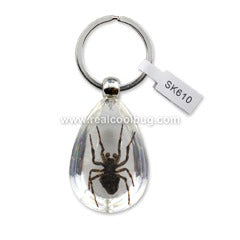 SK610<br />Spider