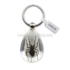 SK610<br />Spider