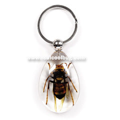 SK611<br />Yellow Jacket Wasp