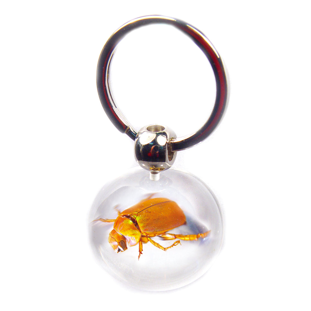 Beetle Key Chain Clear Round (SK708)