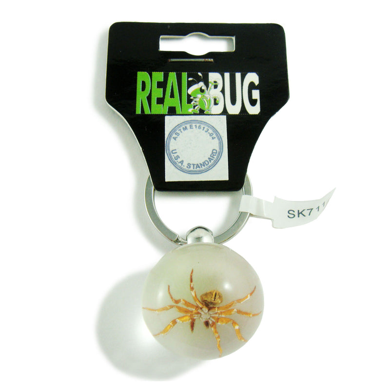 Real Spider Key Chain Round Ball (SK711)