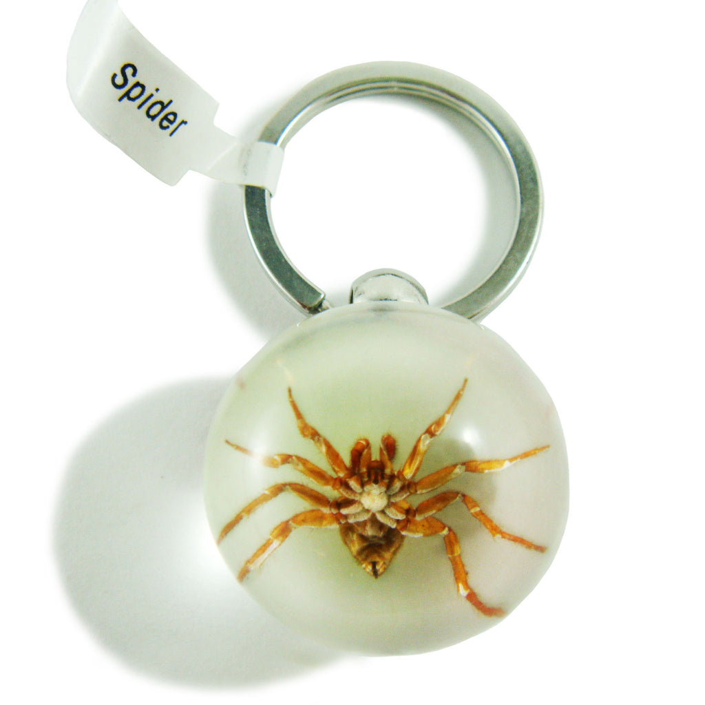 Real Spider Key Chain Round Ball (SK711)
