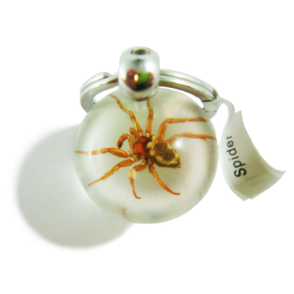 Real Spider Key Chain Round Ball (SK711)