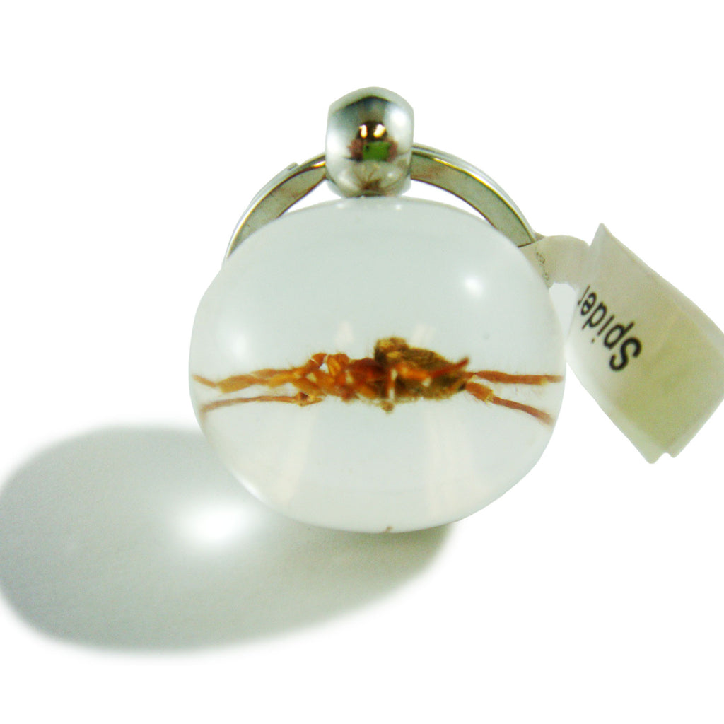 Real Spider Key Chain Round Ball (SK711)
