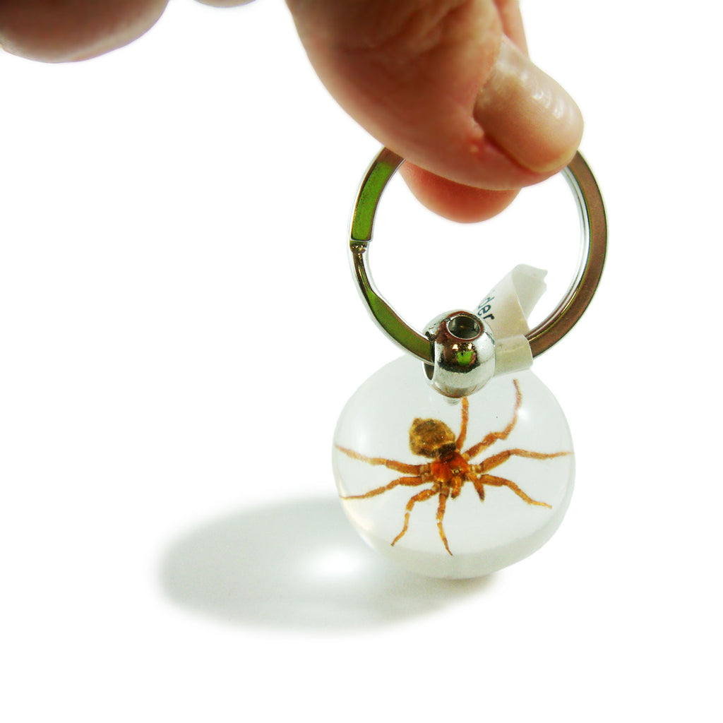 Real Spider Key Chain Round Ball (SK711)