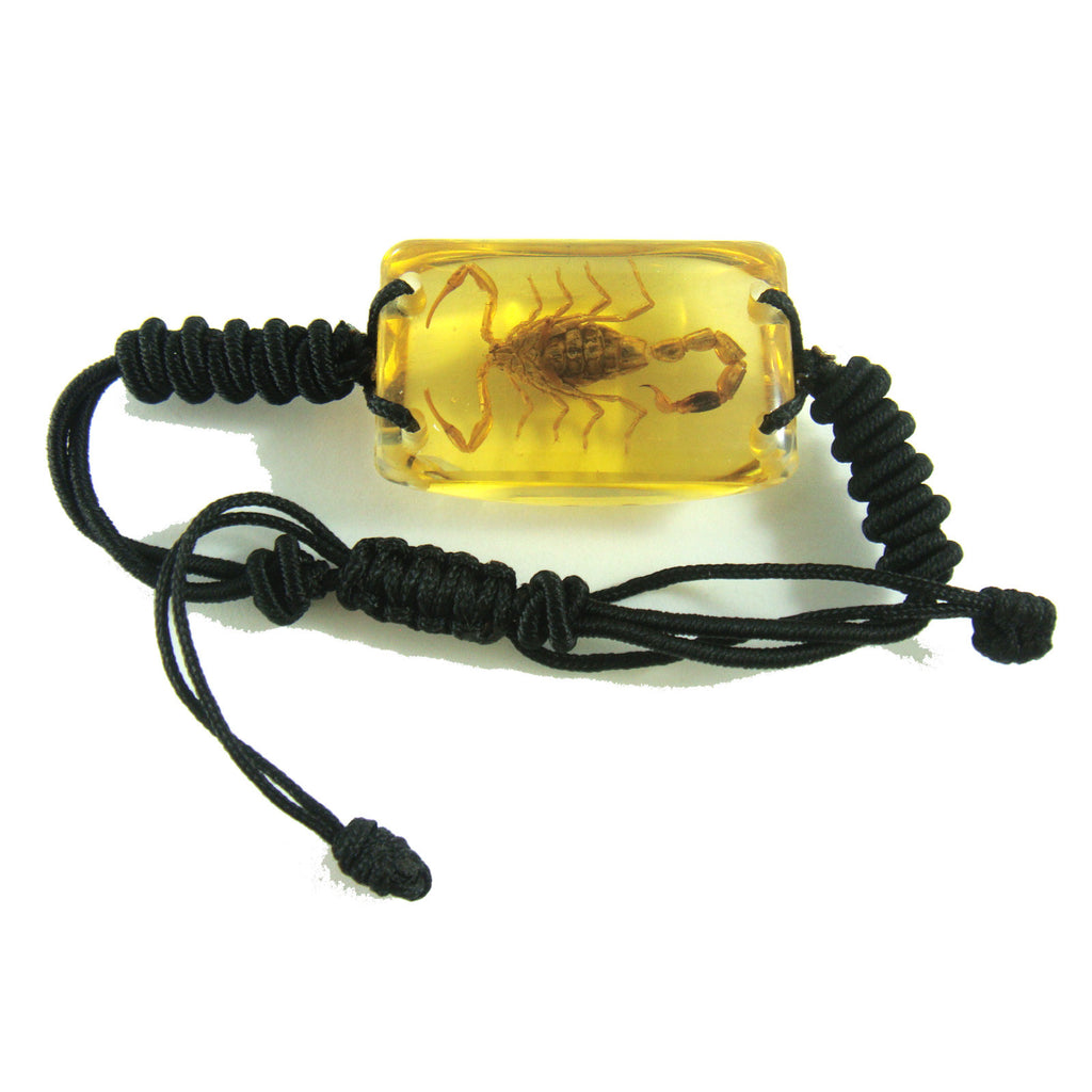 Golden Scorpion Bracelet Amber (SL151OLD)