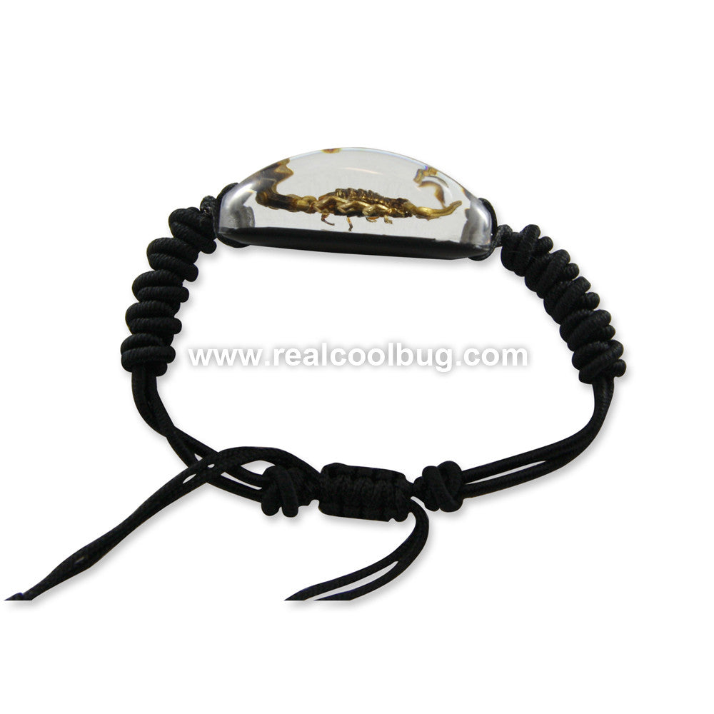SL153<br />Scorpion