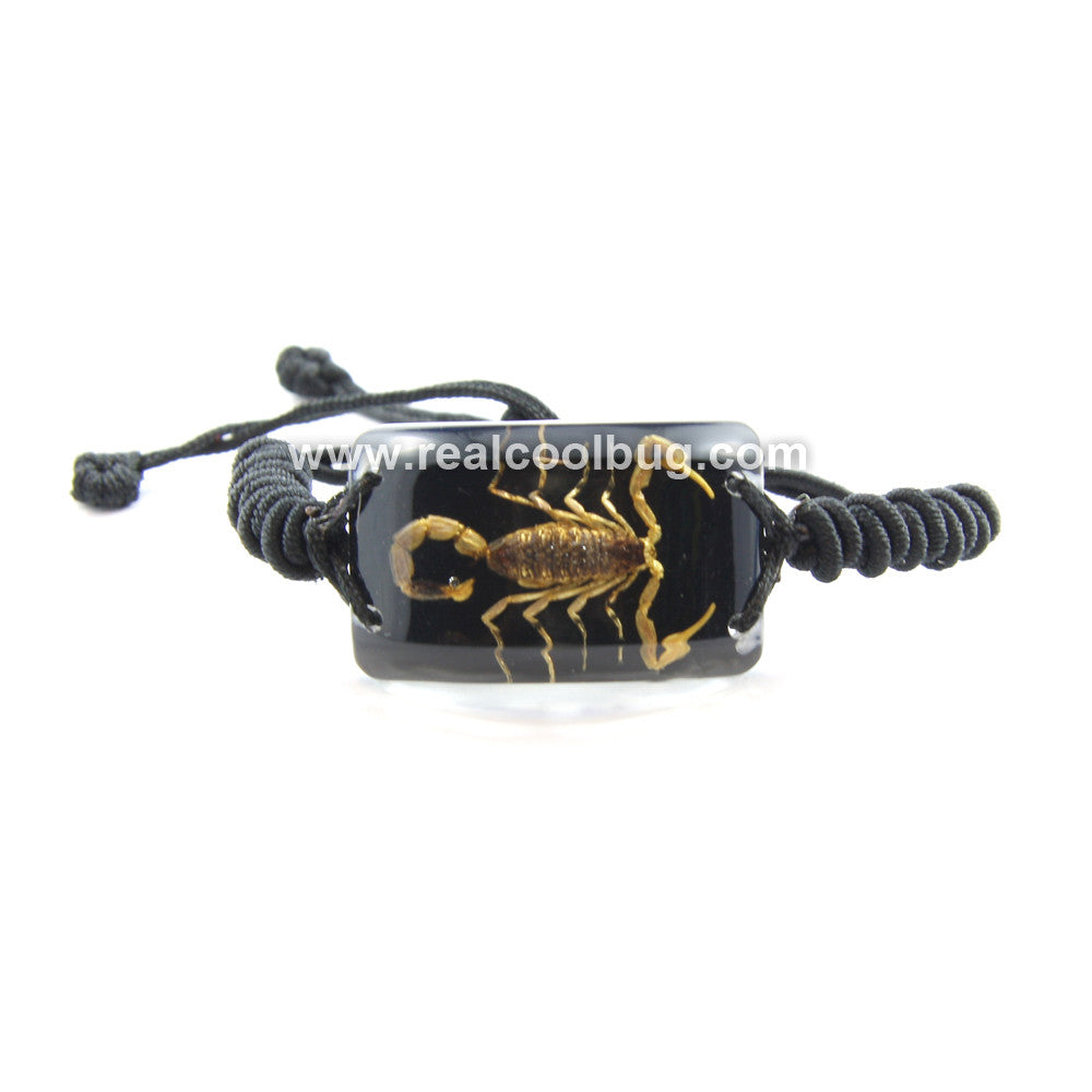 SL153<br />Scorpion