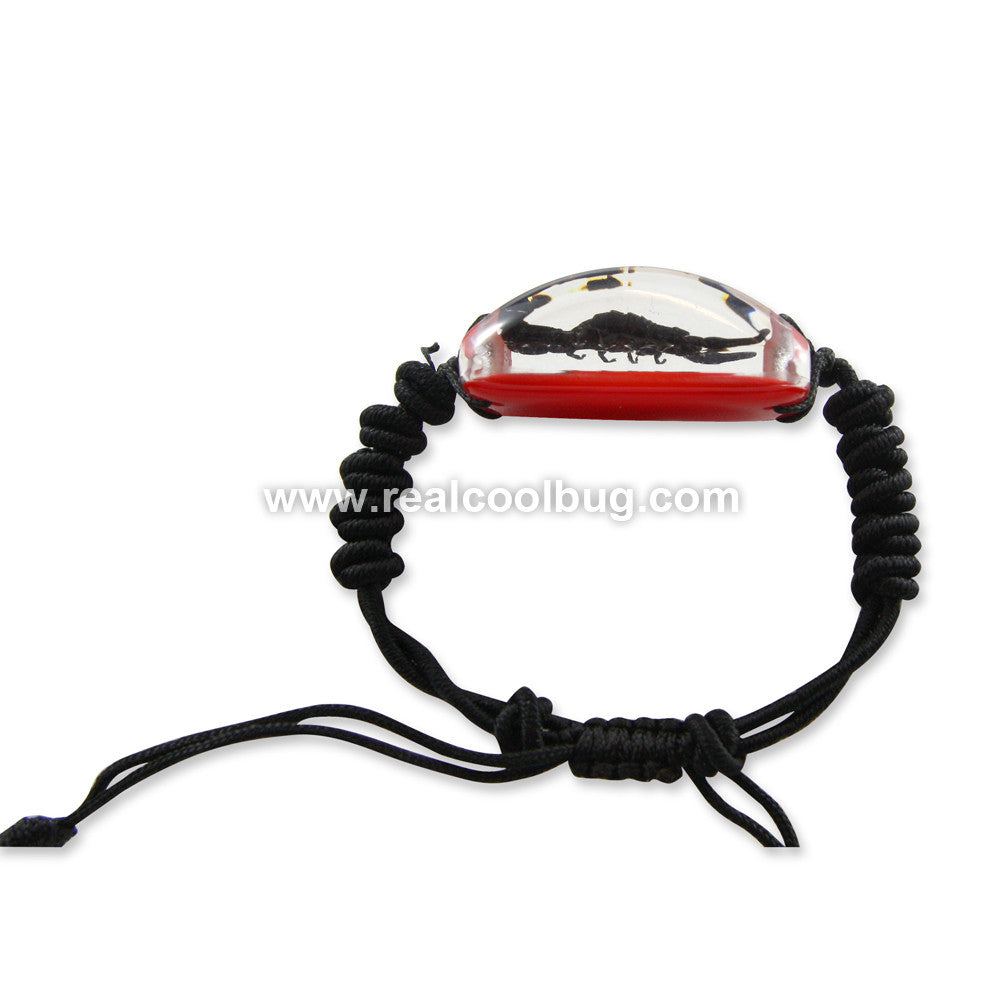 SL154<br />Black Scorpion