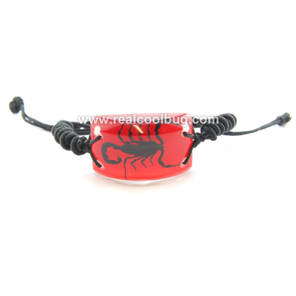 SL154<br />Black Scorpion