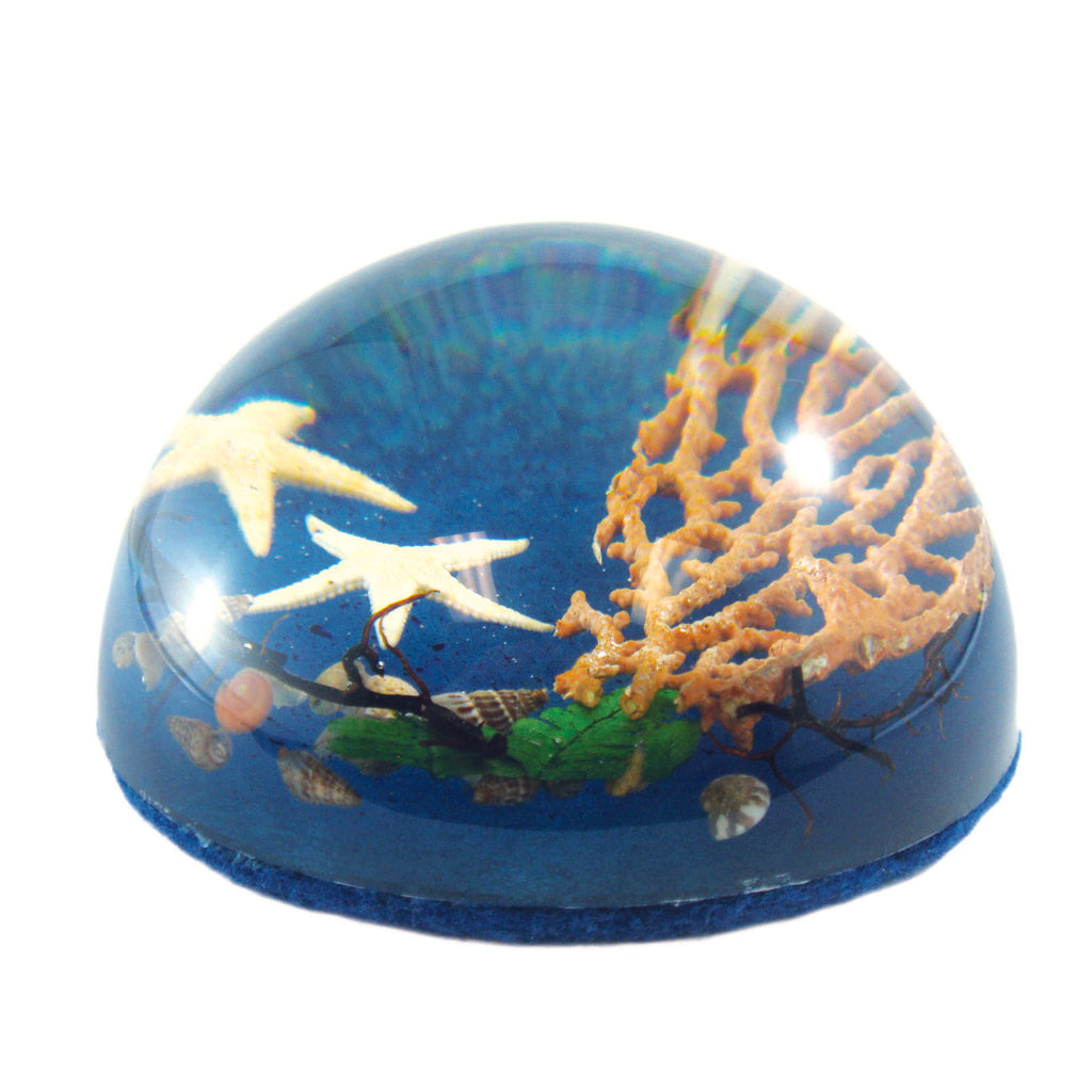 Starfish Dome Paperweight (SS231)